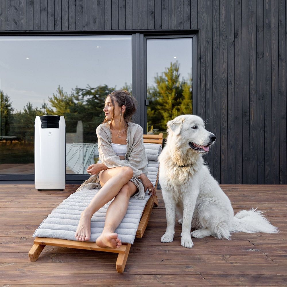 Изображение для товара Electrolux EACM-12 RK/N6