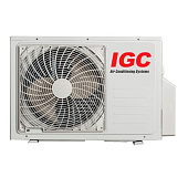 IGC RAM3-T21URH