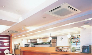 Изображение для товара Mitsubishi Electric PLFY-P25VFM-E